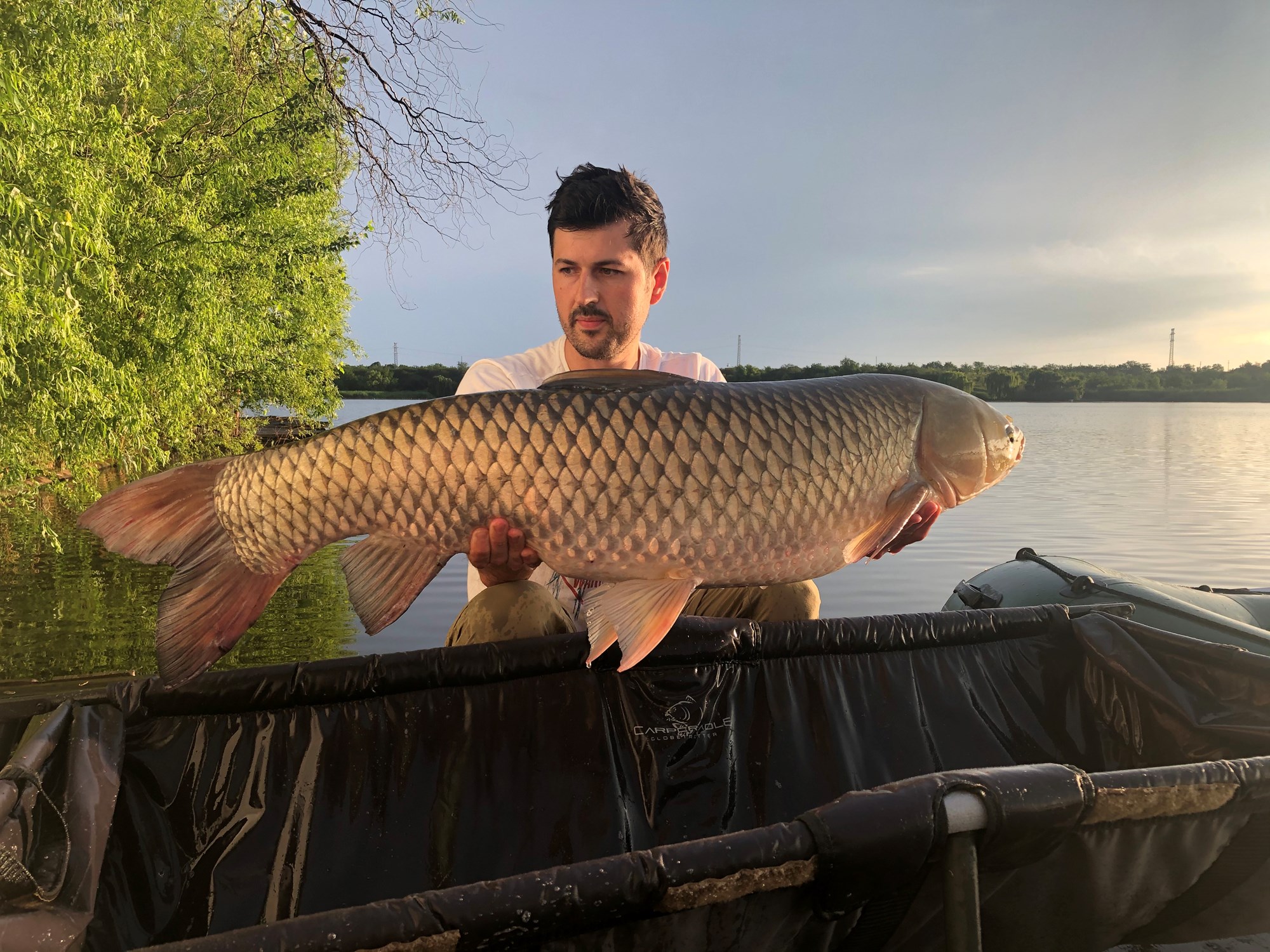 Tancabesti 22 - 25 iun. - 16 kg